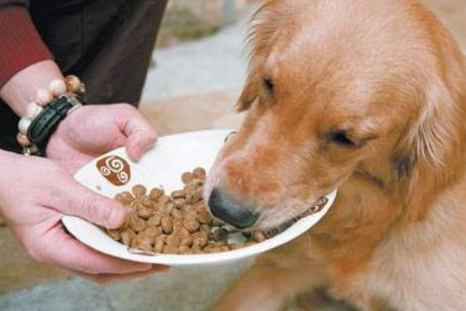 十大毒性最大的水果,最危险的十大水果
