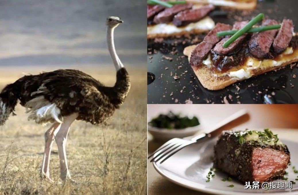 这三种常见肉最好别吃,以下这六种肉再穷都不要吃