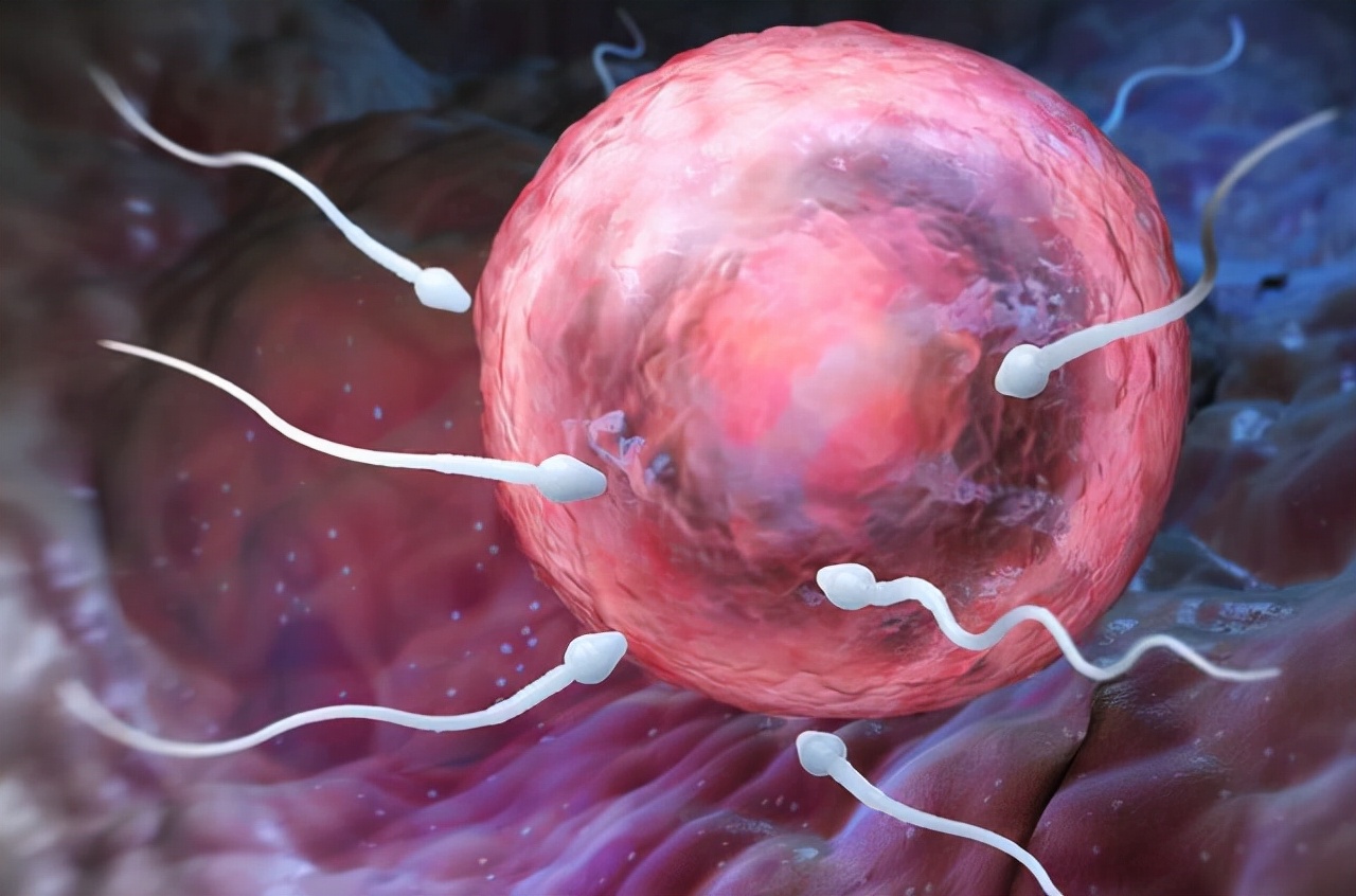 男性一生精子多少,男性一生精子次数