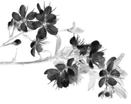 妇幼杨敏,浙江省妇幼保健院杨敏