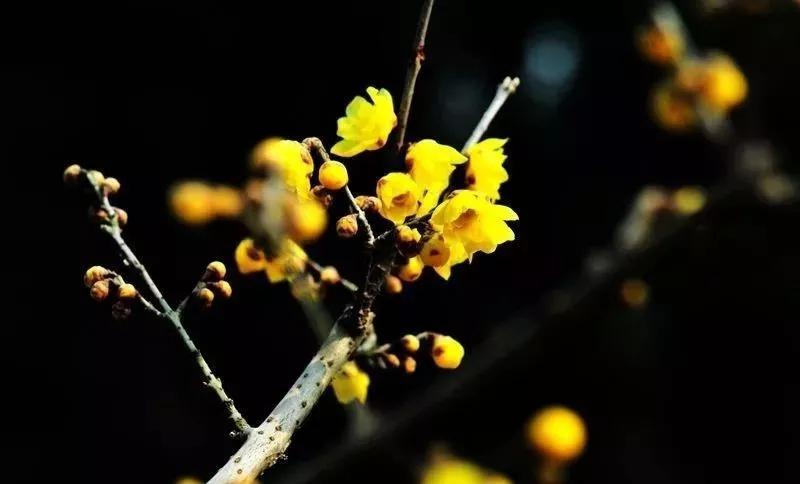 宁海中学，130岁了