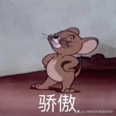 集装箱里面藏违禁品报警可以吗,集装箱海关查获