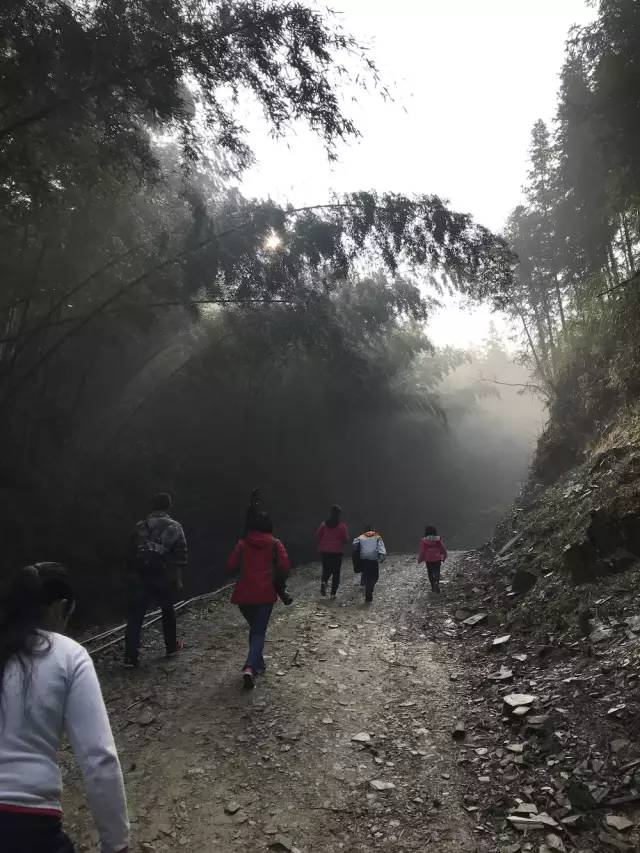 我的家乡被遗忘,我的家乡曾经也很美丽