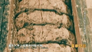大揭秘马王堆汉墓女尸,揭秘马王堆汉墓女尸不腐之谜
