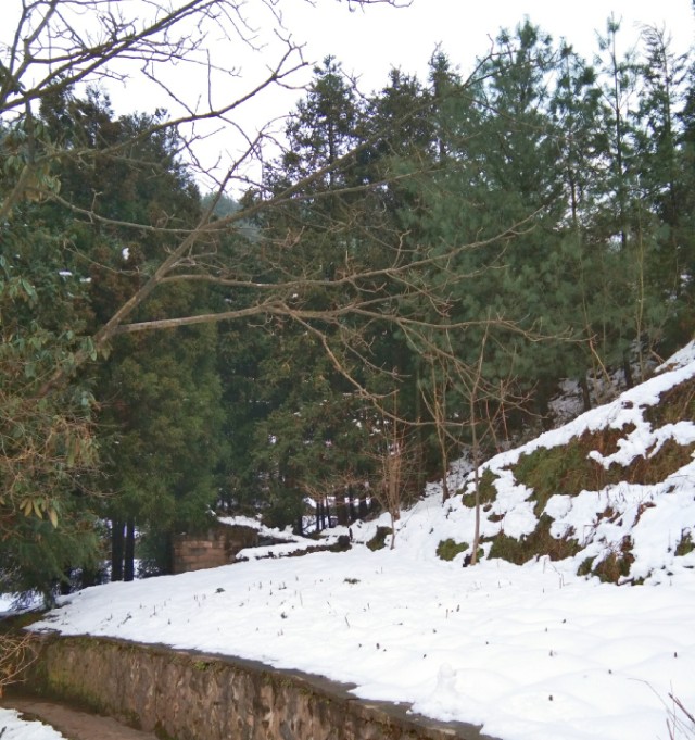 捡来的幸福新浪博客,捡来的幸福2