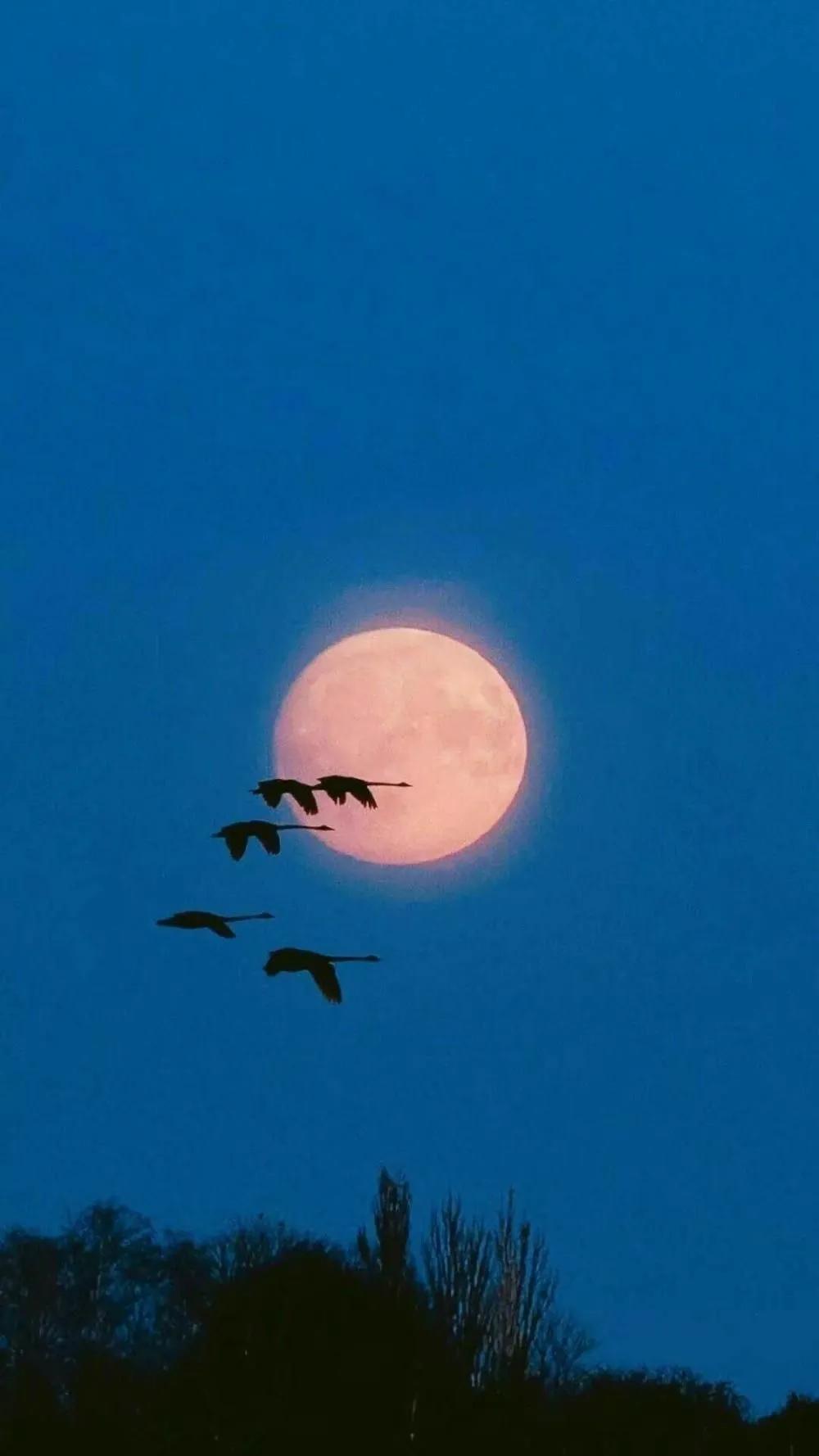 中考作文标点符号算字数吗,中考标点符号用法归纳简述