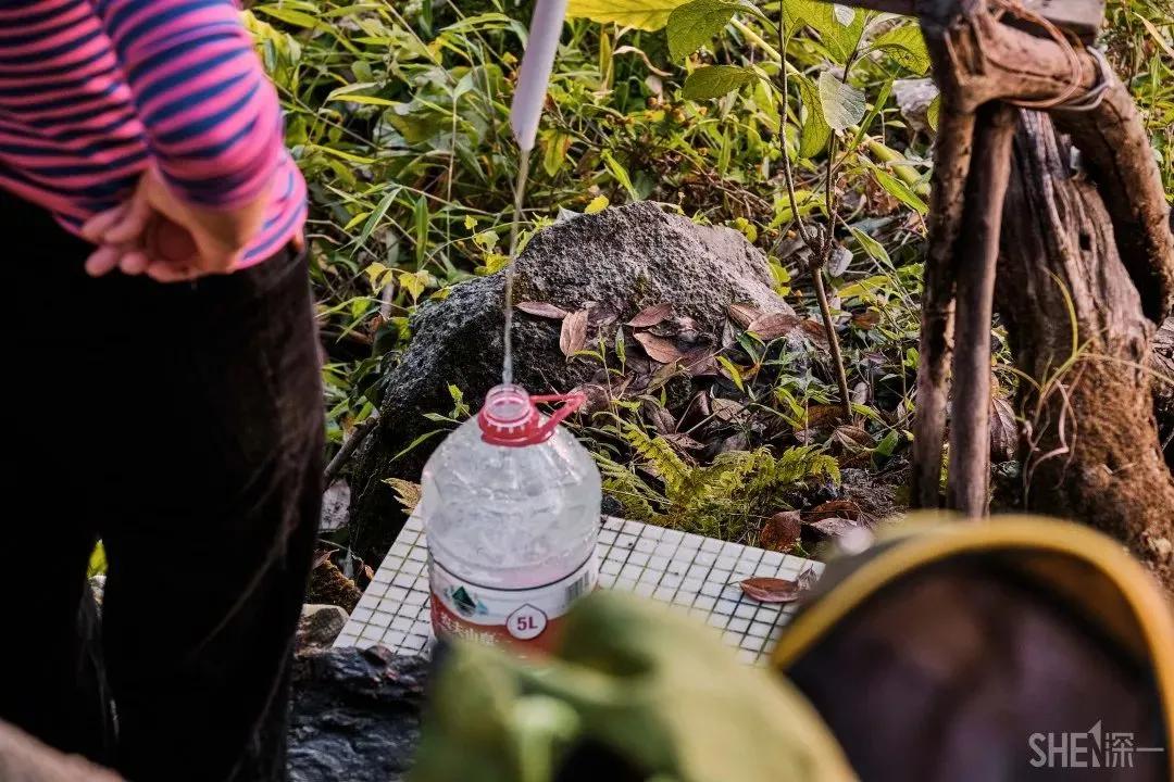 深圳首条手作“原始登山道”，人少好爬风景超美…过年去哪不用愁