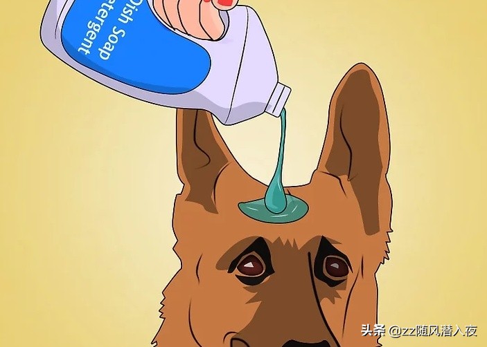 如何用洗洁精消灭跳蚤,如何用洗洁精去油