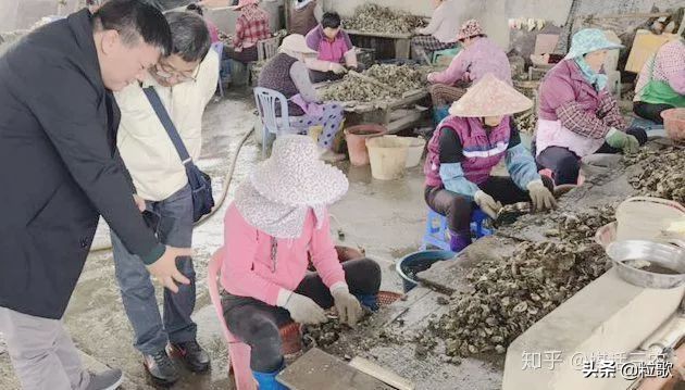 玛塔牡蛎钙哪种最好,玛塔牡蛎钙使用方法