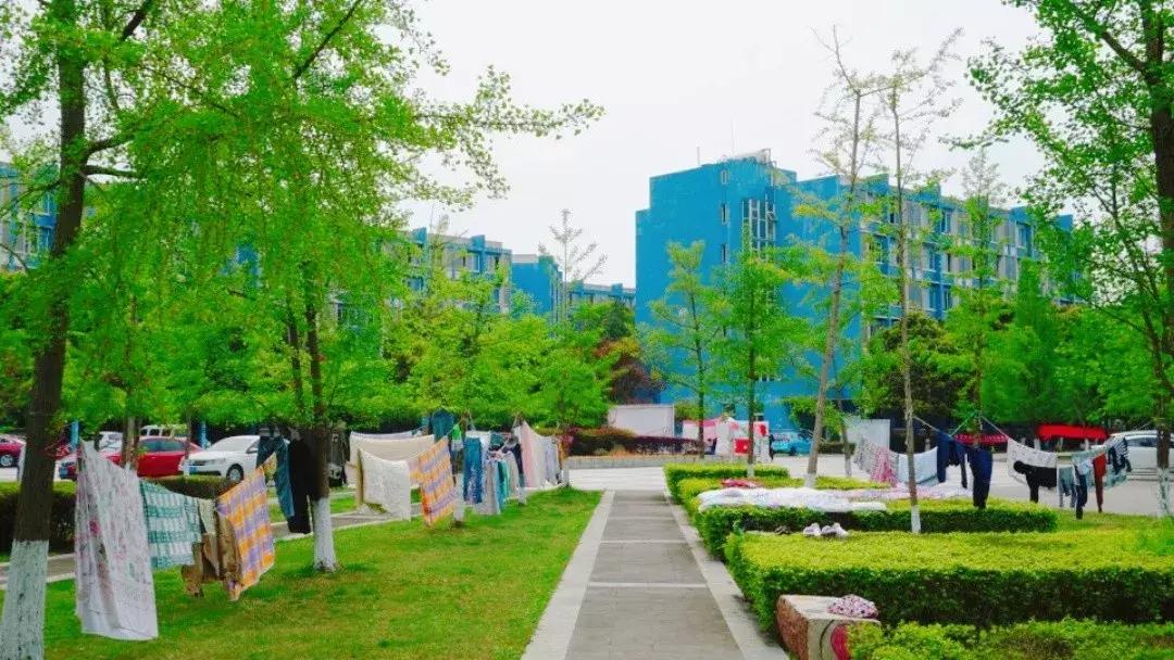 我的青春，叫电子科大成都学院！