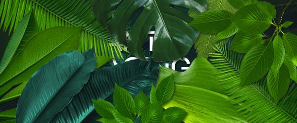 毛孔已经很大了,毛孔越来越大还长痘