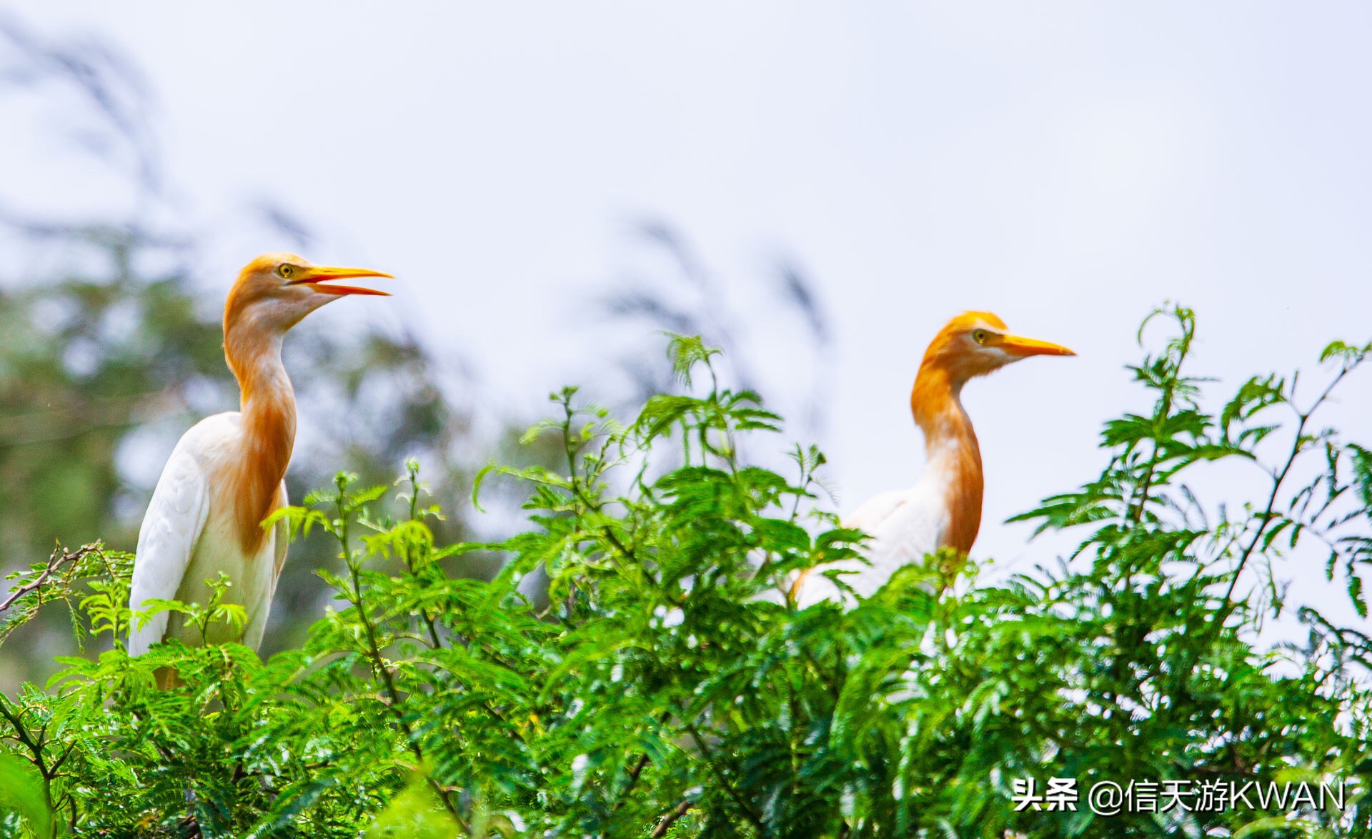 为什么现代人喜欢摄影行业,越来越喜欢上摄影