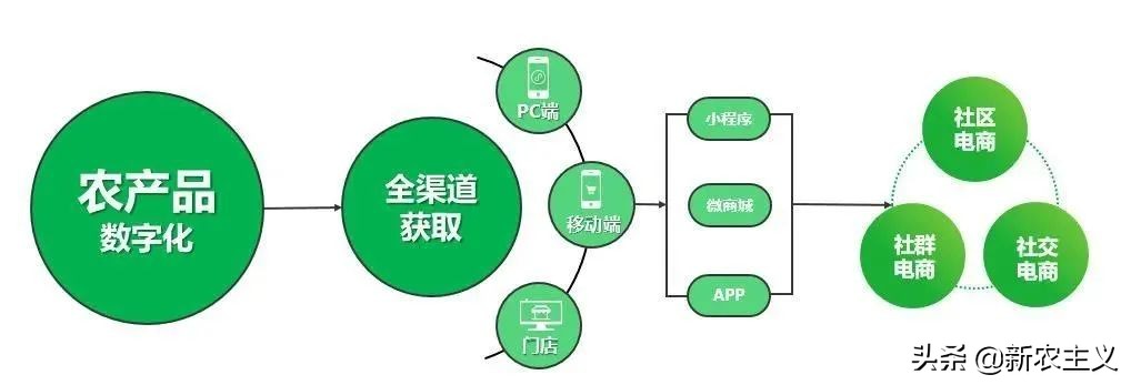 农产品采后高损耗原因及对策,农产品采后损耗