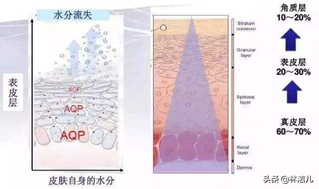 36岁的张钧甯“冻龄”人设不保？眼纹遮不住，周迅也有这个问题？
