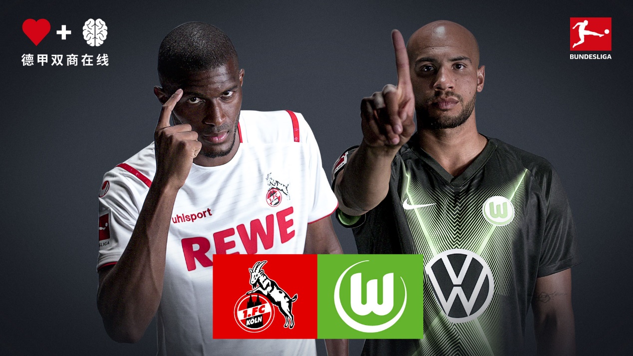 莱茵能源足球场,莱茵能源球场图片