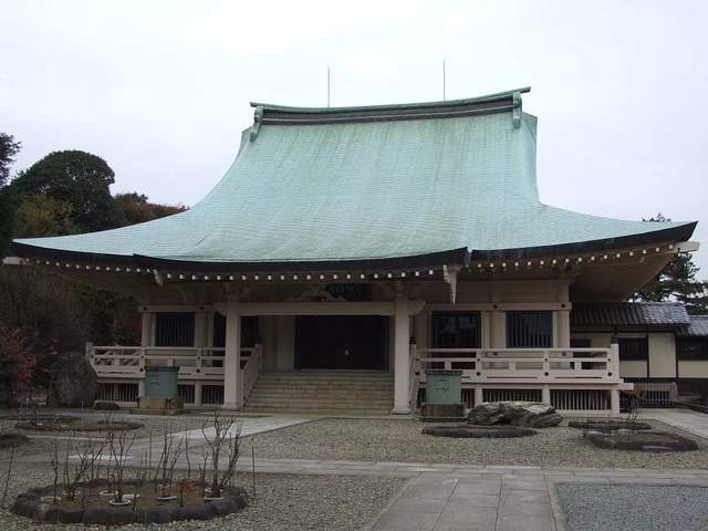 日本猫岛撸猫必备短片,日本东京免费撸猫的地方