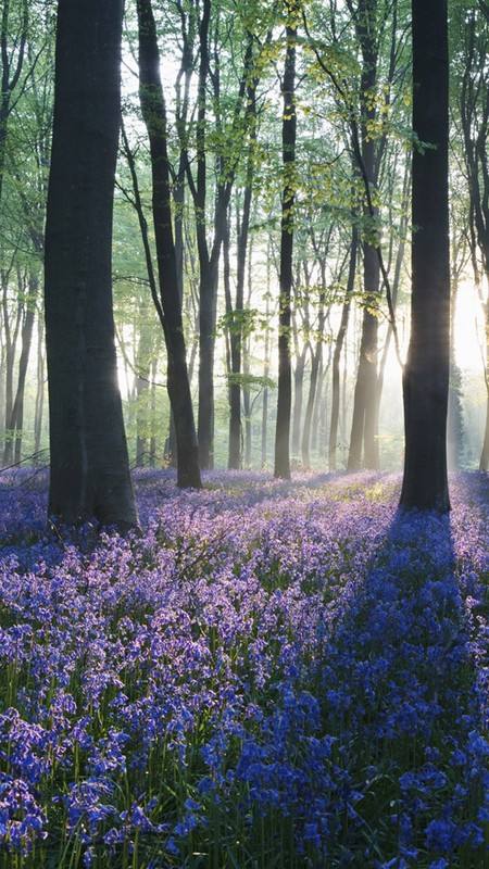 抗生素不良反应案例,抗生素副作用几时可以消除