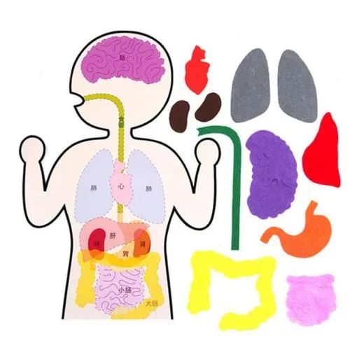 为什么下巴两侧脖子两侧频繁长痘,下巴长痘看中医好还是西医好