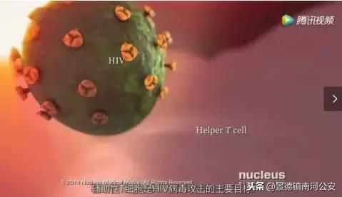 关于艾滋病有什么科普知识,艾滋病的健康科普