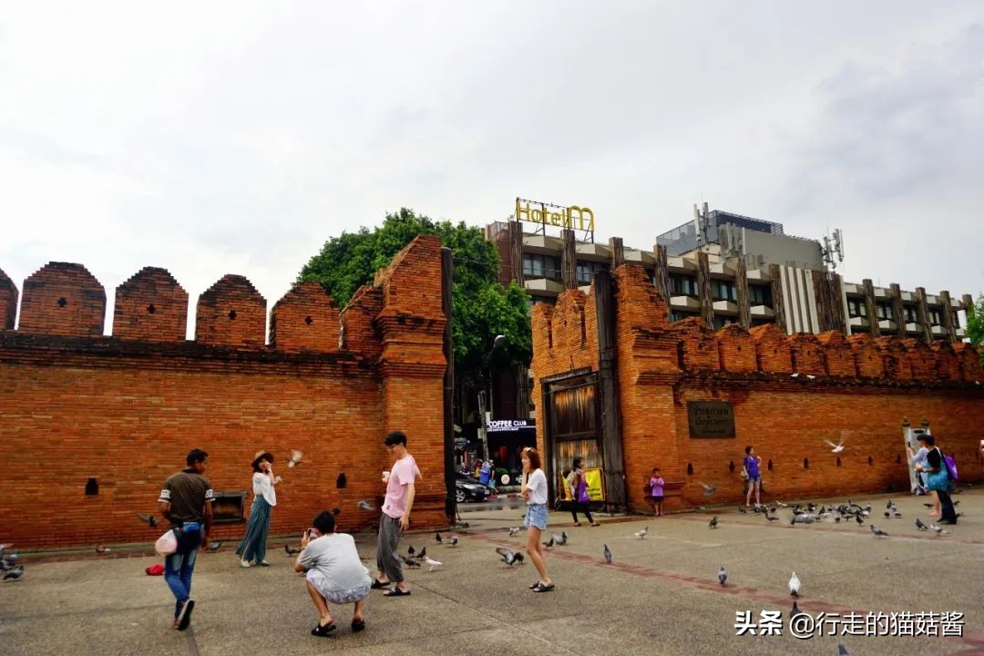 清迈吃喝住行自驾攻略,2019清迈吃住攻略