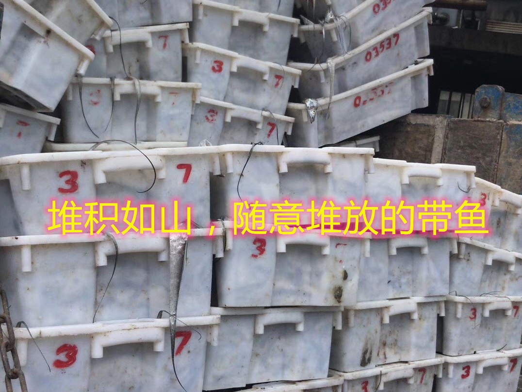 带鱼30元一斤,带鱼看着新鲜吃着不好吃