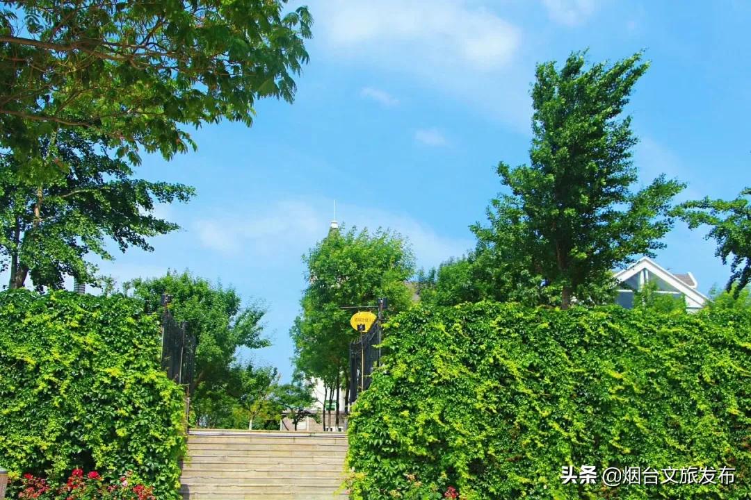 张裕卡斯特酒庄窖藏5年,张裕卡斯特酒庄品酒