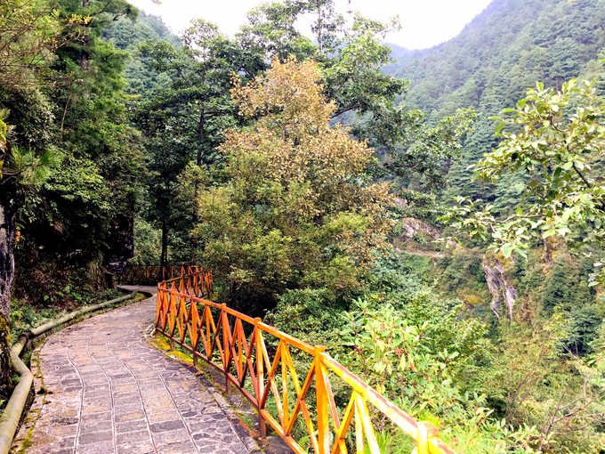 苍山的正确打开方式——做一日清闲山里人