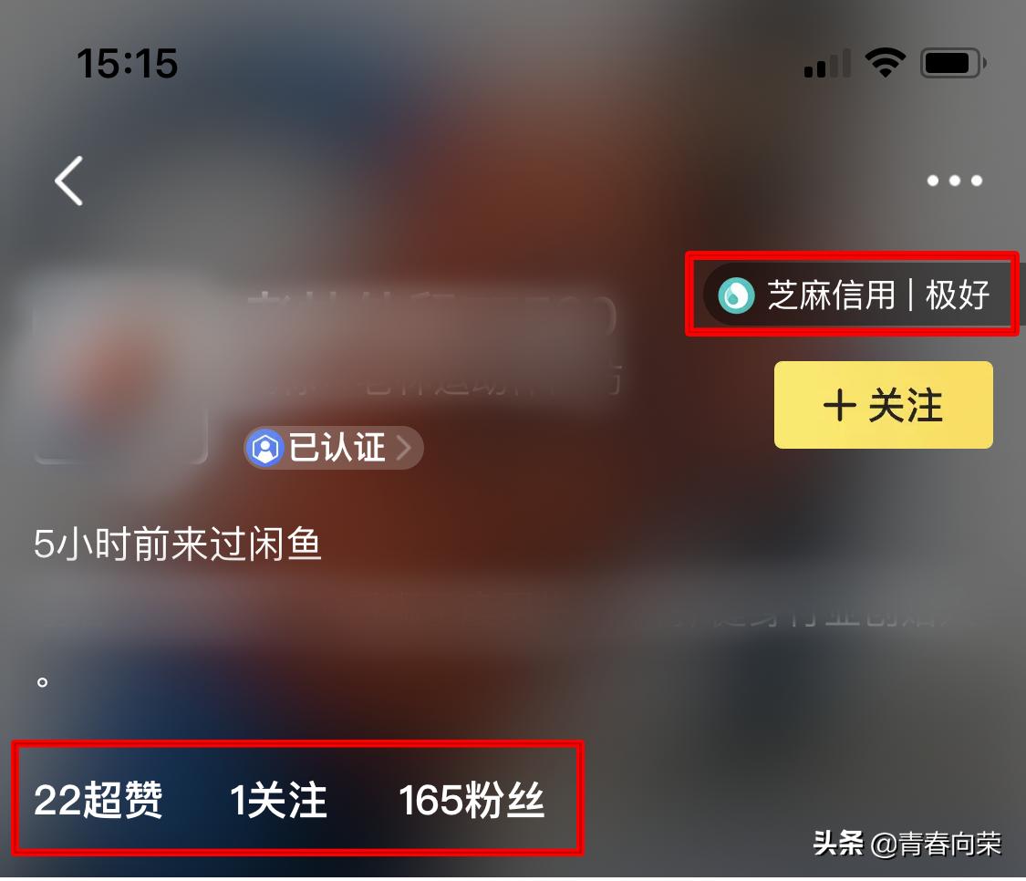 新手闲鱼卖家关注事项,闲鱼操作流程及关注事项