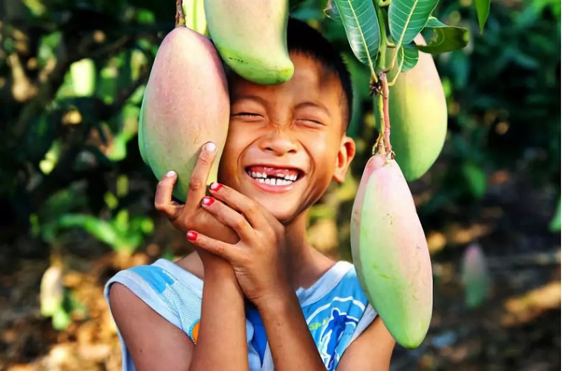 9.9元包邮的农产品,9.9商品包邮还能赚钱的秘密