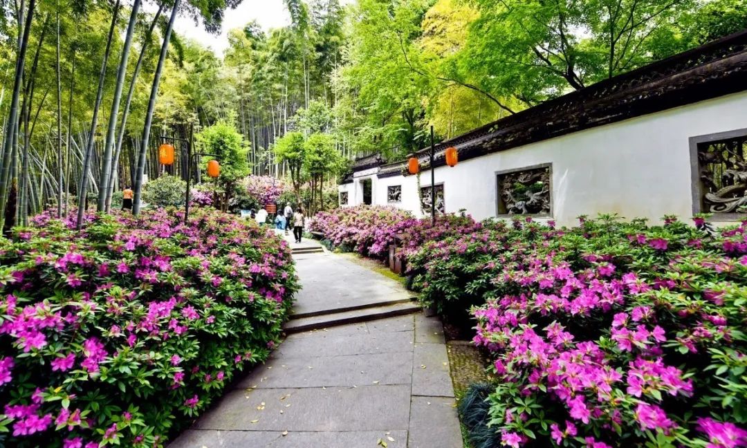 西湖有多美图片,现在的西湖风景怎么样