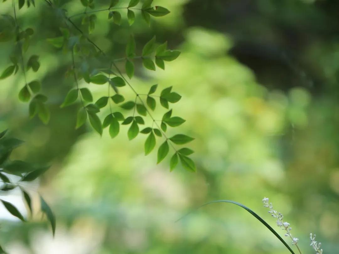 这160句国学经典全都是精华,这20句俗话说尽了人生