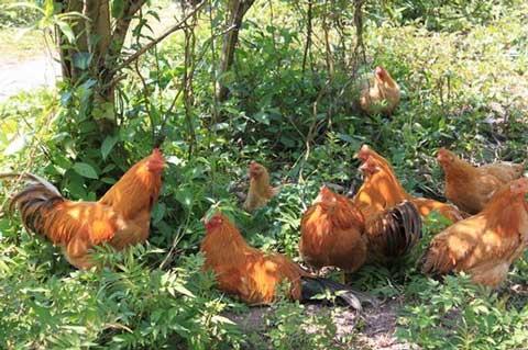 重庆太大了！重庆的最东、最南、最西、最北，分别是哪里？