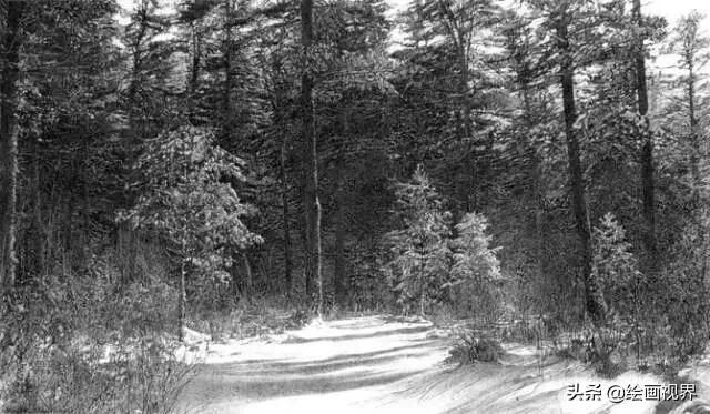 不会画就别学,不会画素描写生