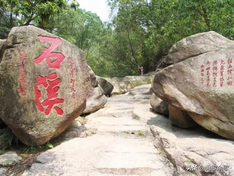 珠海公园森林风景,珠海公园美景视频