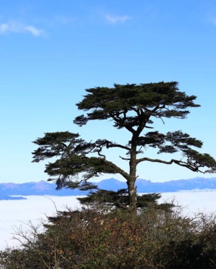 养在深闺人未识,桂林华南之巅猫儿山
