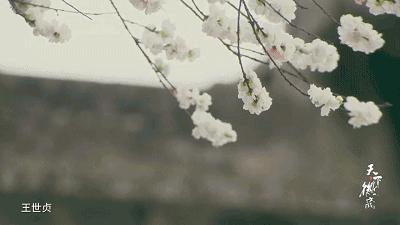 宰相故里，父子尚书！徽州人到底有多牛？不是七品以上官员，连造桥都没资格