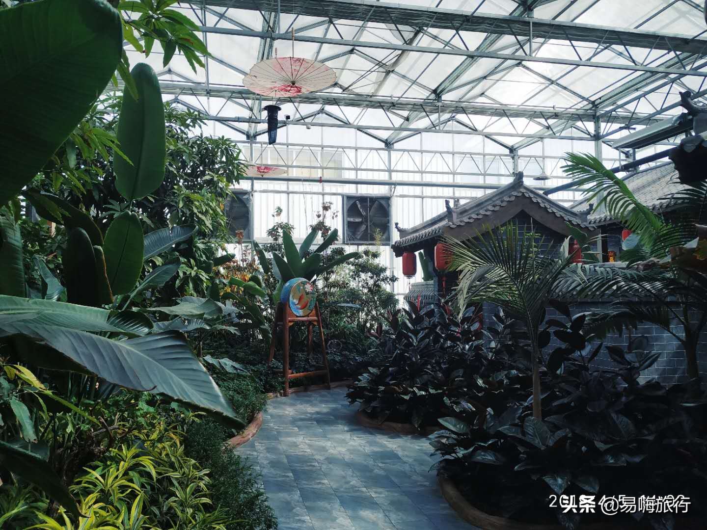 易嗨旅行带您天津宁河-芦台板桥休闲踏春游