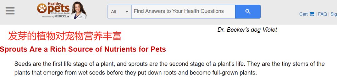 网红斜对面的老阳检测一次收一万，软文代理审核才发，卖猫狗粮