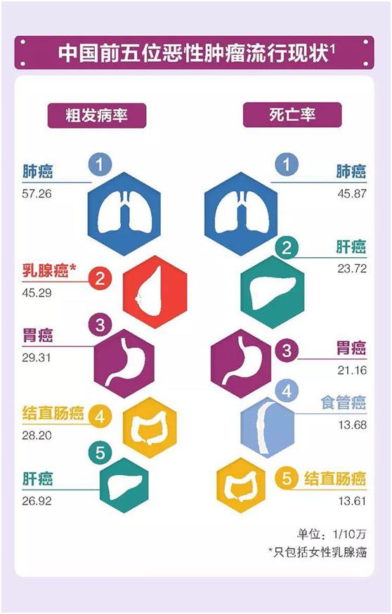 肺腑之言讲解,肺癌患者肺腑之言