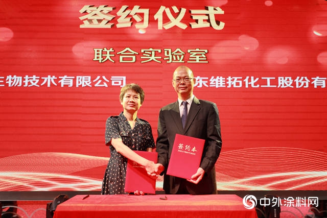 维拓抗病毒健康植物水漆怎样,桂林维拓抗病毒健康植物水漆