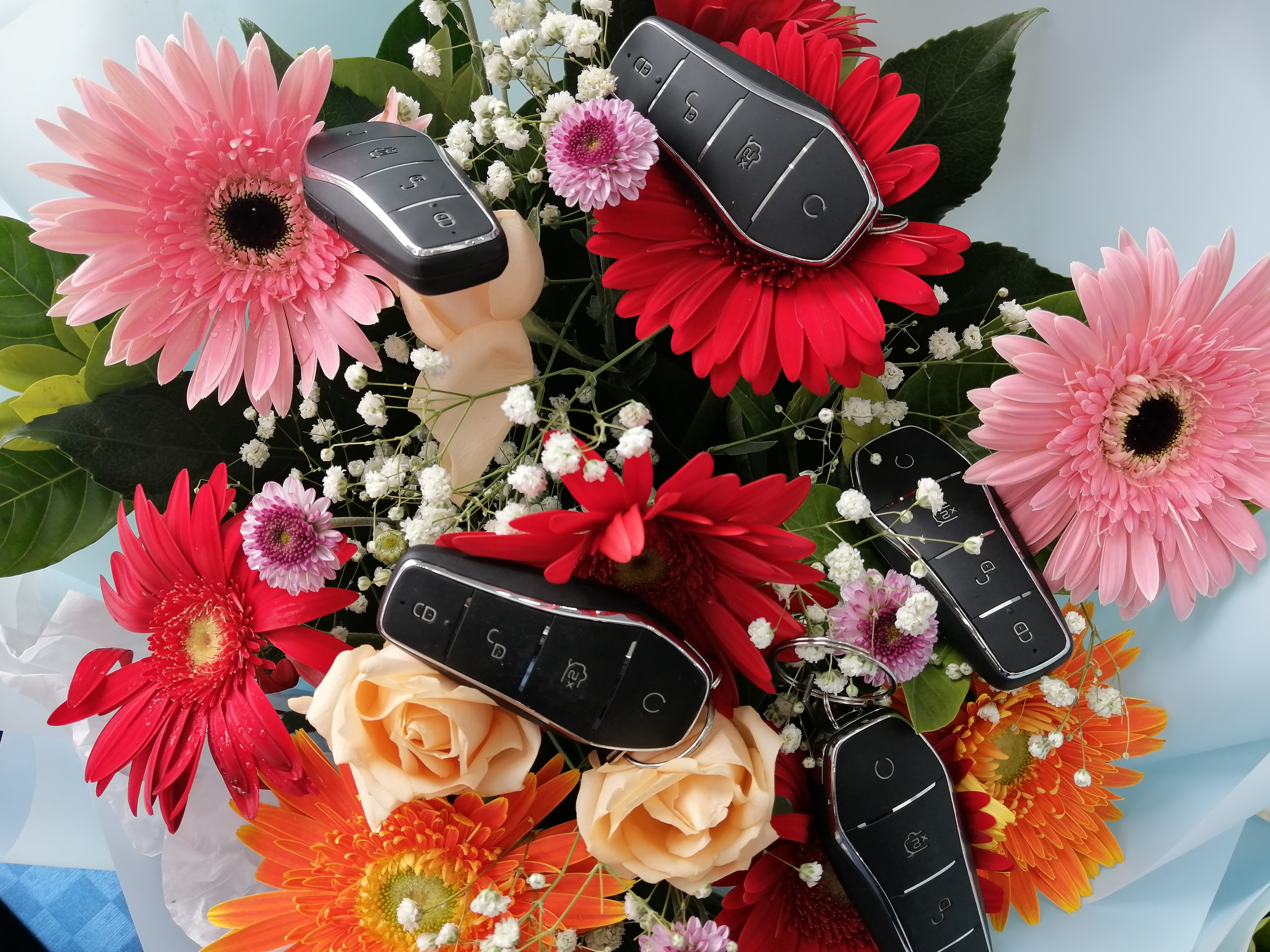 比亚迪海豚临沂盛世鑫源,临沂盛世鑫源年会盛典