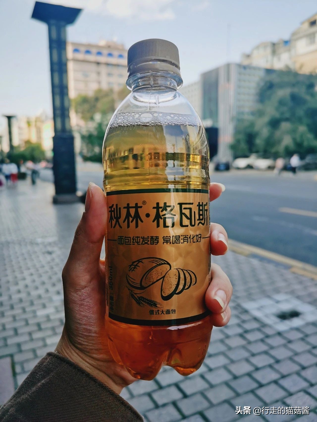 哈尔滨美食地图必打卡店,哈尔滨美食攻略十大必吃排行榜