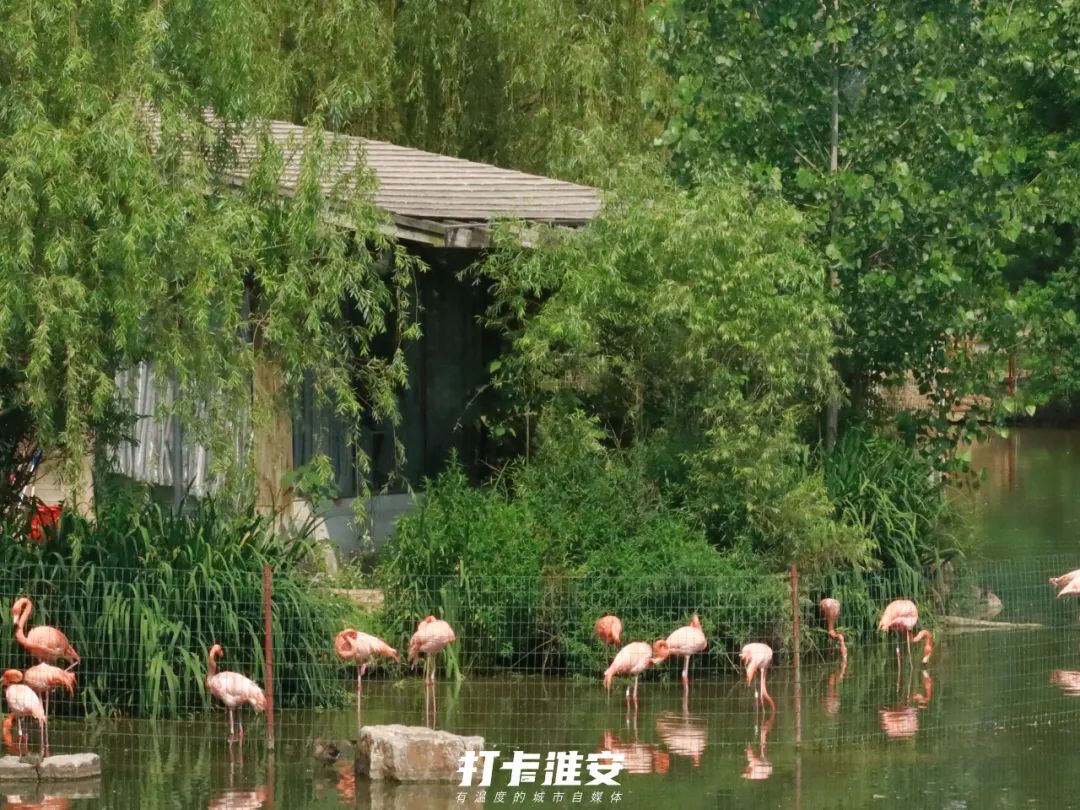 儿童节去儿童乐园,儿童节去公园玩