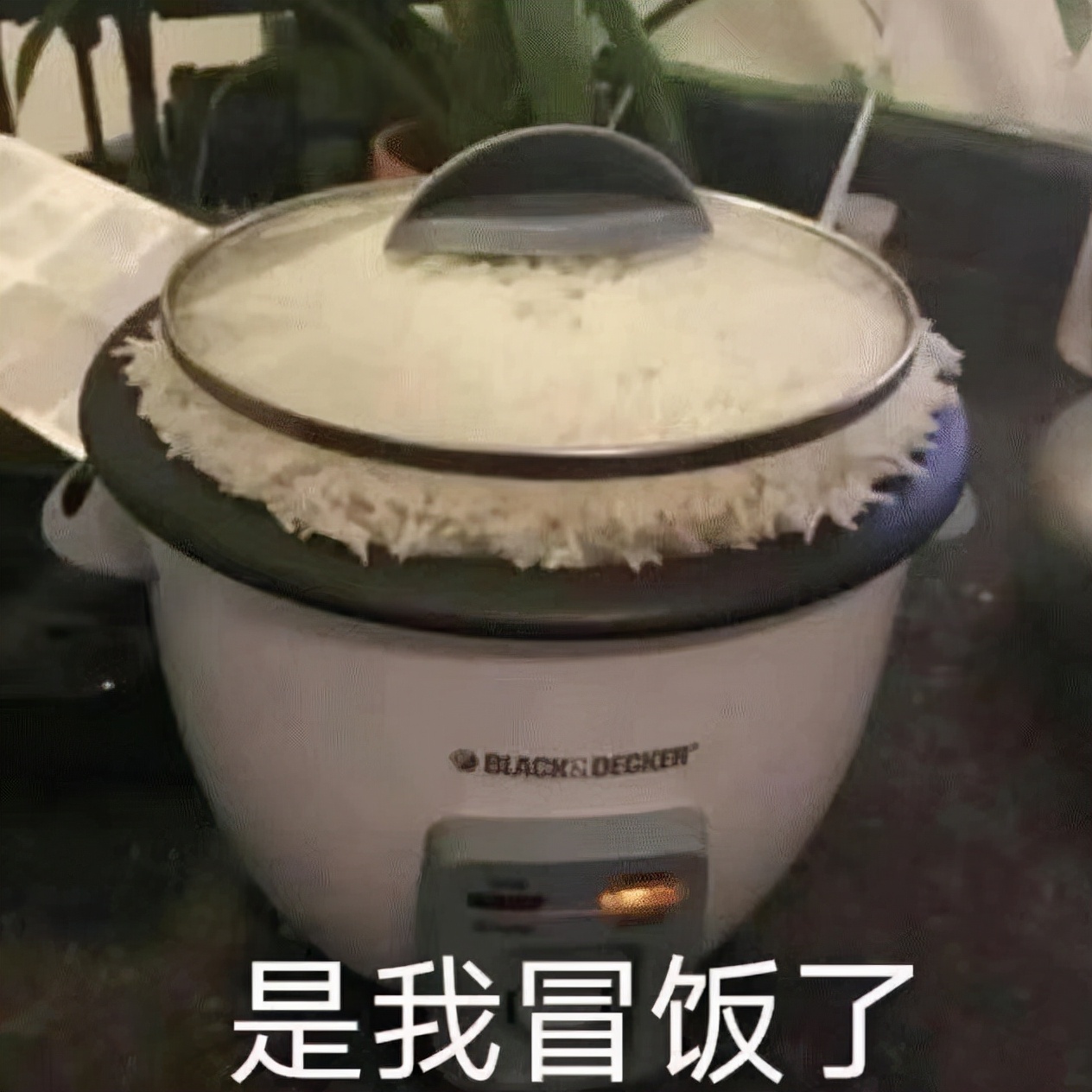香奈儿限购,香奈儿包包涨价尝到恶果