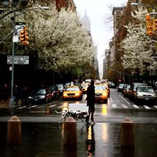 转机落地的国家需要单独办签证吗,在其他国家转机需要签证吗