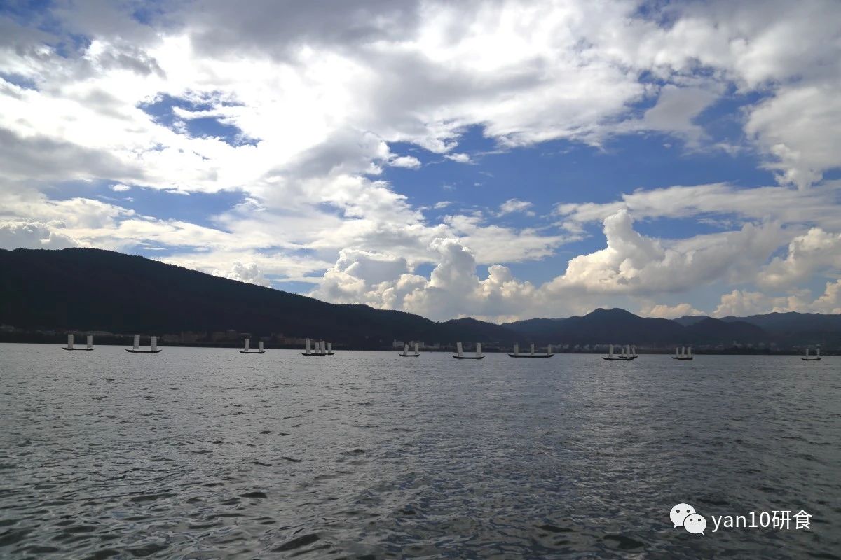 昆明滇池美食推荐菌火锅,滇池边菌子火锅