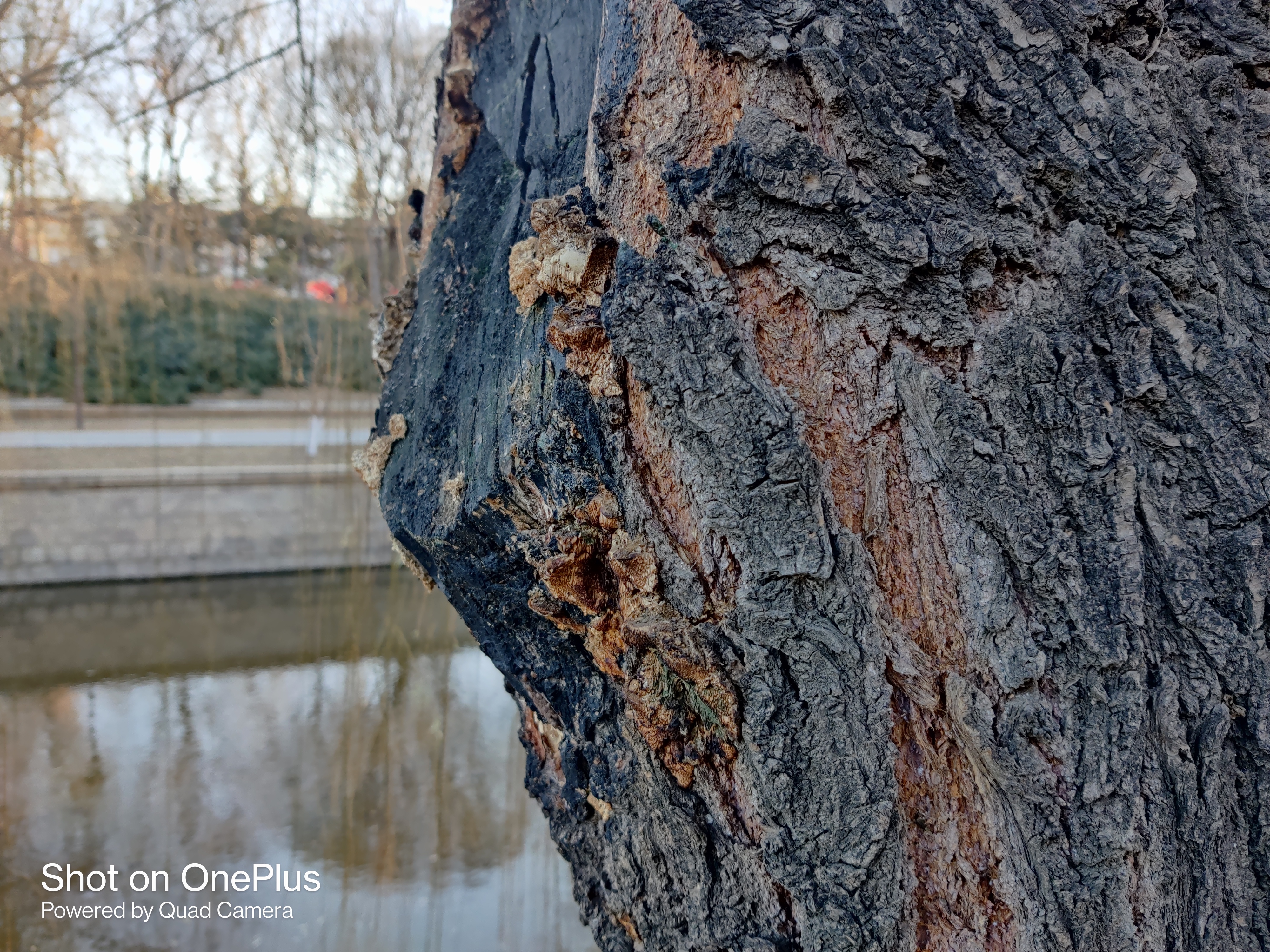 一加8t与opporeno5pro怎么选,opporeno8pro拍照对比xr