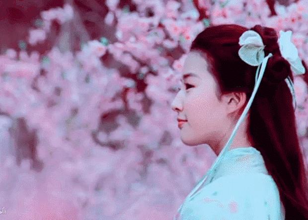 全网最好看的脸型美女,这些女星的脸美若天仙