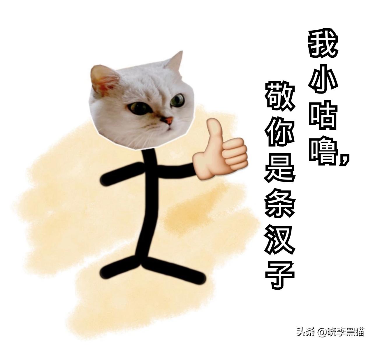 日本锦鲤大叔中奖6个亿，3年挥霍一空，撸猫找回心灵平静