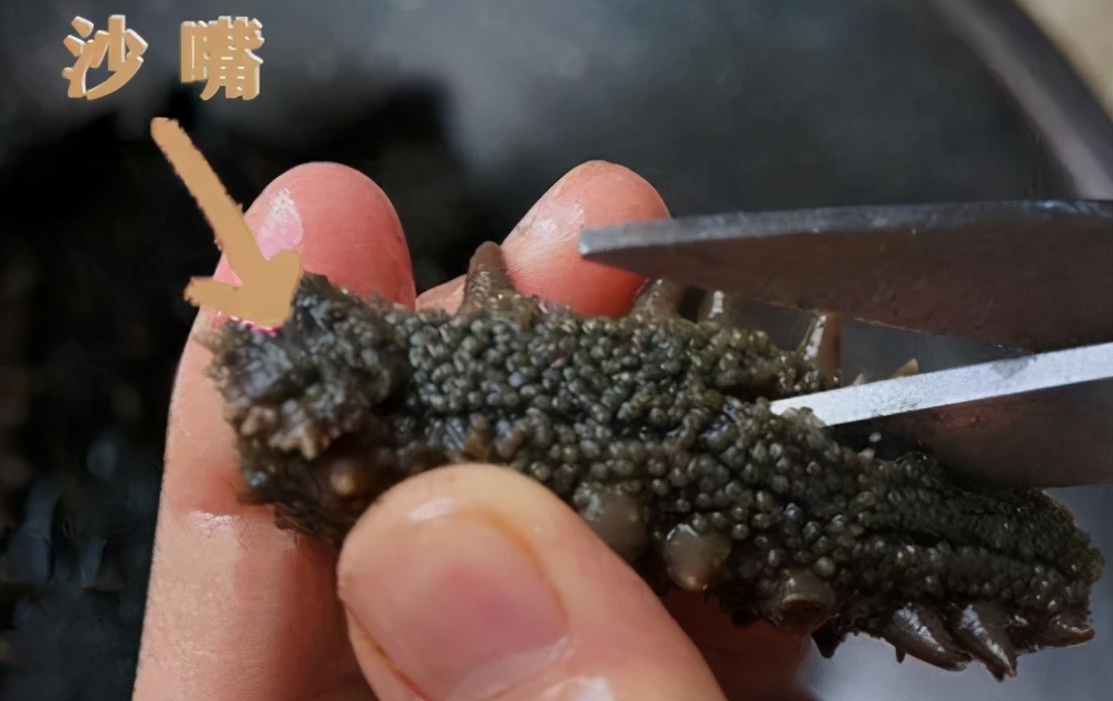 为什么海参泡发不起来,海参的家常做法海参怎么泡发